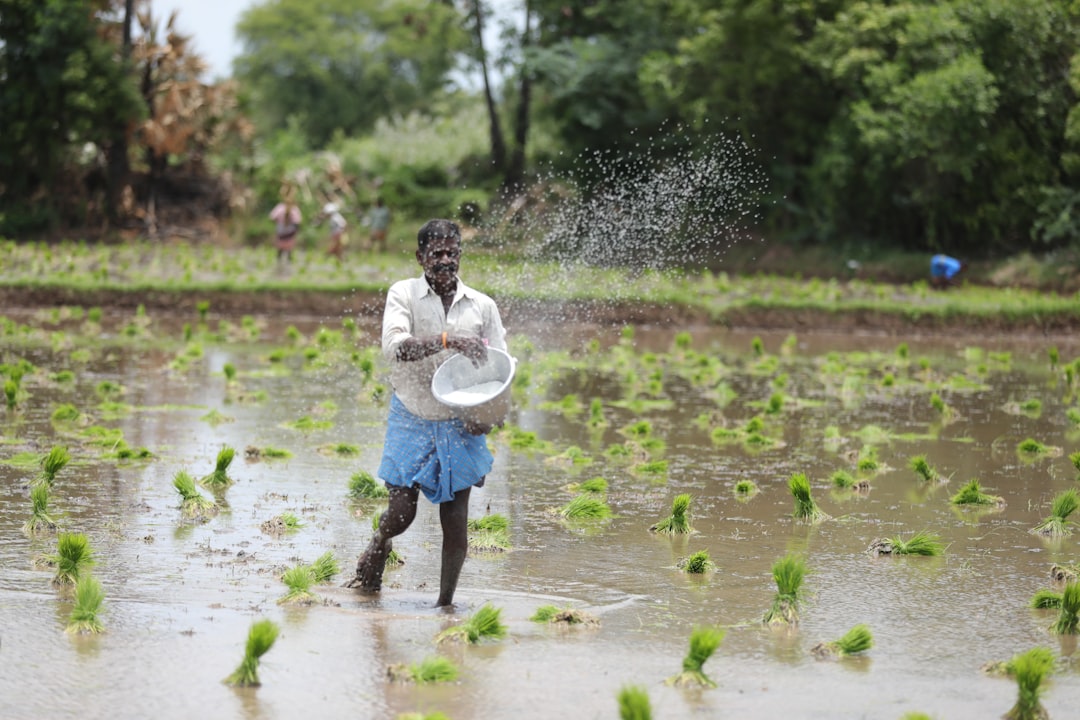 PM Kisan Samman Nidhi farmer benefit